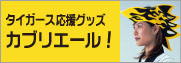 _^CK[XObYXqJuG[I